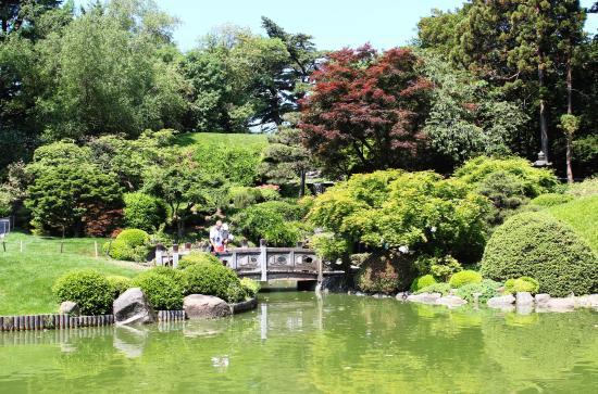 Brooklyn Botanic Garden